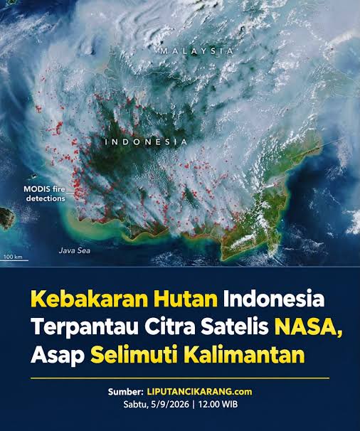 Deretan Kejadian Karhutla di Wilayah Indonesia selama Bulan September 2026